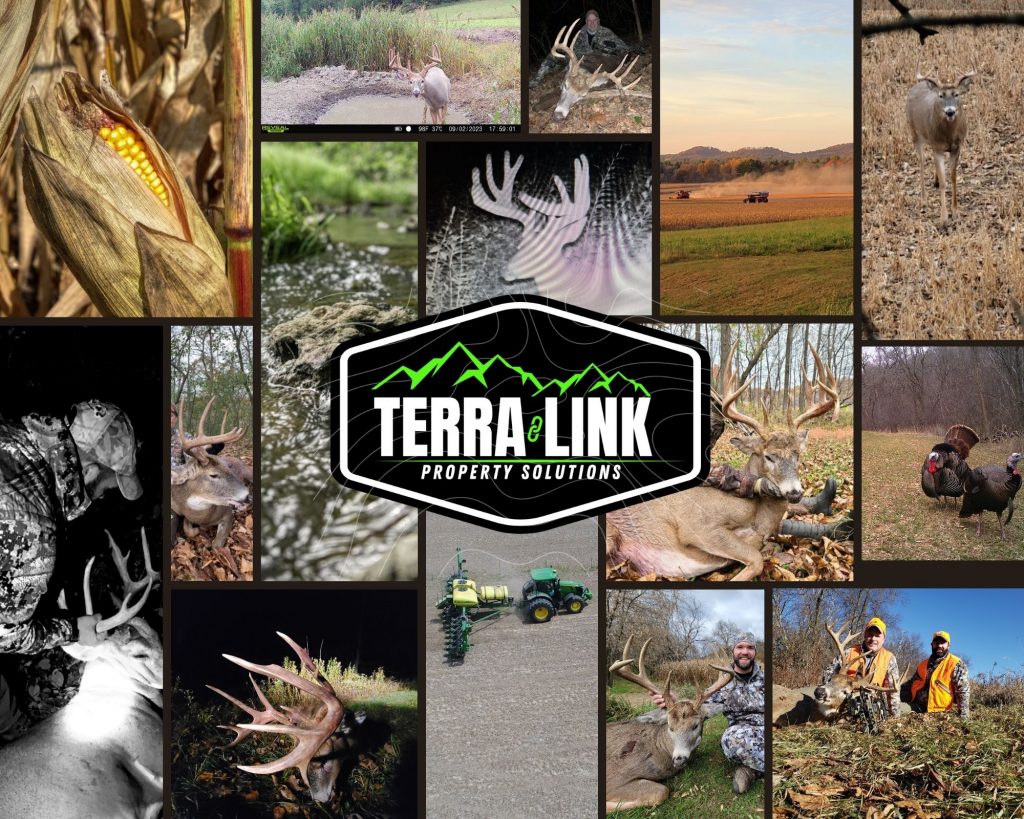 Terra-Link Land Leasing